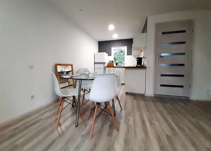 Nad Stawem בית נופש