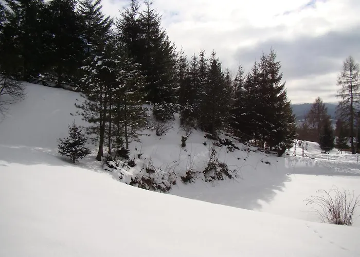 Nad Stawem בית נופש *