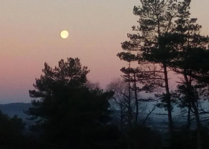 Nad Stawem בית נופש Łabowa