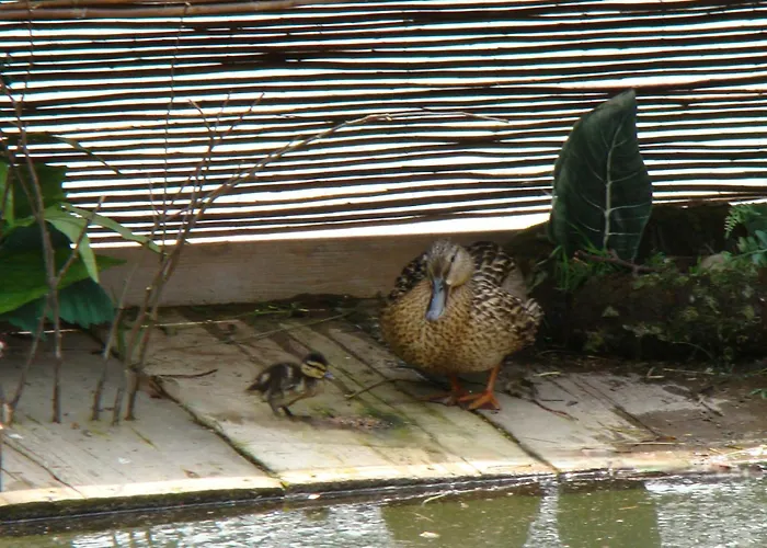 Nad Stawem בית נופש Łabowa